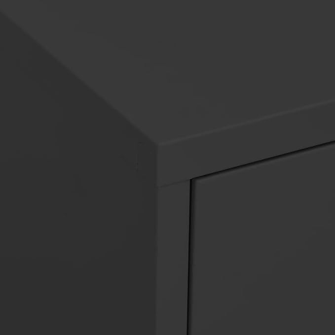 Anthracite Steel Storage Cabinet with 2 Doors and 2 Drawers, Adjustable Shelf and Levelers for Stability, Modern Industrial Furniture for Home Office Organization