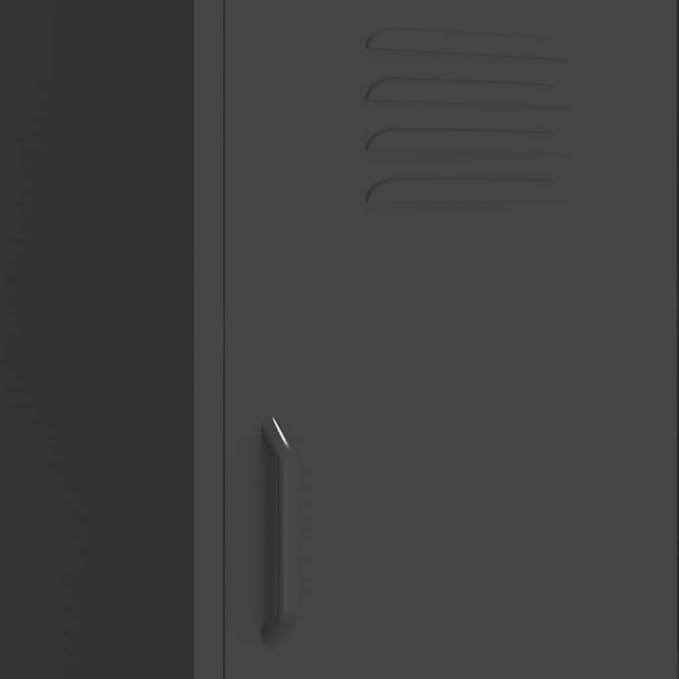 Modern Steel Storage Cabinet with Adjustable Shelves, Anthracite Matte Finish for Living Room and Office Organization, Durable Metal Construction