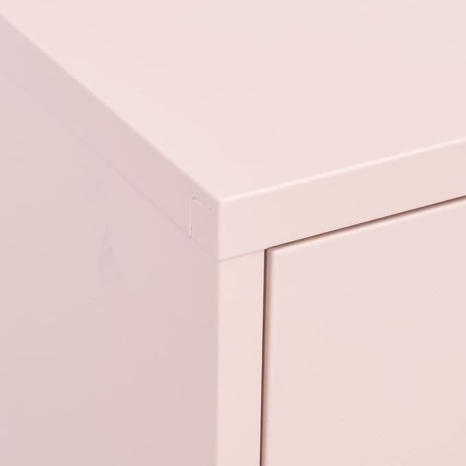 Pink Steel Storage Cabinet with Two Drawers and Adjustable Shelves, Medium Rectangular Organizer for Living Room Bedroom Office, Durable Metal Furniture with Levelers