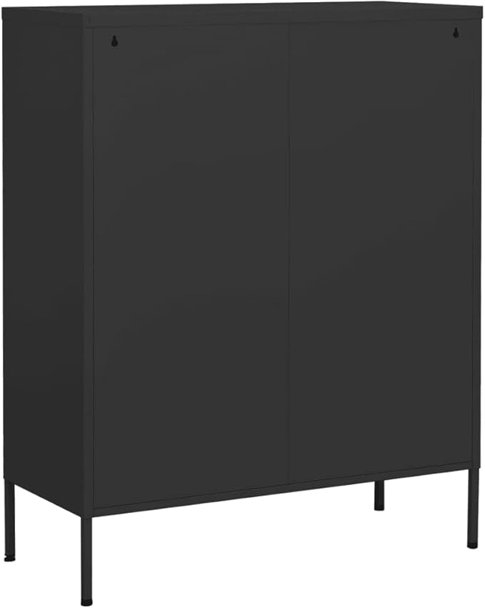 Anthracite Steel Storage Cabinet with Two Doors and Two Drawers, Adjustable Shelf, Ball-Bearing Runners, Levelers for Stability, Modern Design for Home Office Organization