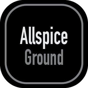 AllSpice 312 Preprinted Water Resistant Square Spice Jar Labels Set 2"