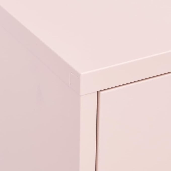 Pink Steel Storage Cabinet with Two Drawers and Adjustable Shelves, Medium Rectangular Organizer for Living Room Bedroom Office, Durable Metal Furniture with Levelers