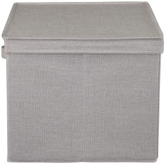 Household Essentials Large Storage Bin with Lid, Sturdy Sides and Base with Front Handle, Silver