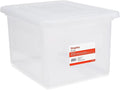 STAPLES File Box Plastic File Box Snap, Letter/Legal Size, Clear, 2/Pack