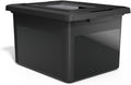 STAPLES File Box Plastic File Box Snap, Letter/Legal Size, Black, 2/Pack