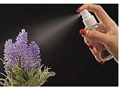 10 Pack 10ml/0.35oz Fine Mist Spray Bottle Clear Plastic Mini Spray Bottle for Essential Oils Makeup and Perfume