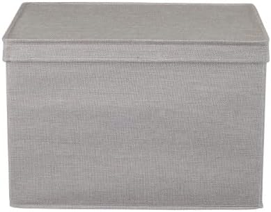 Household Essentials Large Storage Bin with Lid, Sturdy Sides and Base with Front Handle, Silver