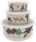 EMANUEL Set of 3 Melamine Food Storage Containers - Reusable Storage Lunch Boxes Plastic Lid - Unique Printed Designs (Seven Species BMB-21D)