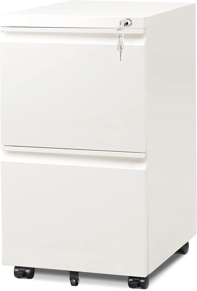 DEVAISE 2 Drawer Mobile File Cabinet with Lock, Commercial Vertical Metal Filing Cabinet for Home Office, Fully Assembled Except Casters, White