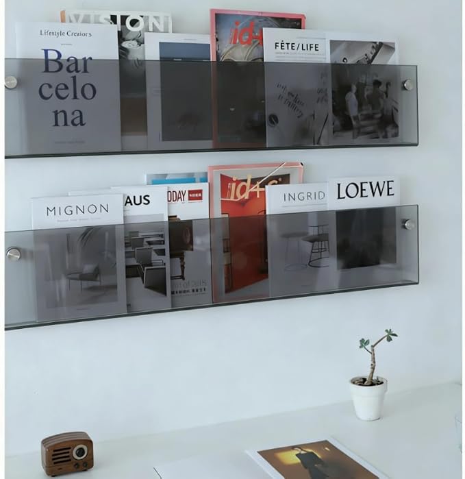 ROYALITA 2-Pack Acrylic Magazine Holder Brochure Holder, Gray 36 Inch | Record Magazine Rack, Fashion Floating Bookshelf, Literature Storage Rack for Waiting Room, Living Room, Office