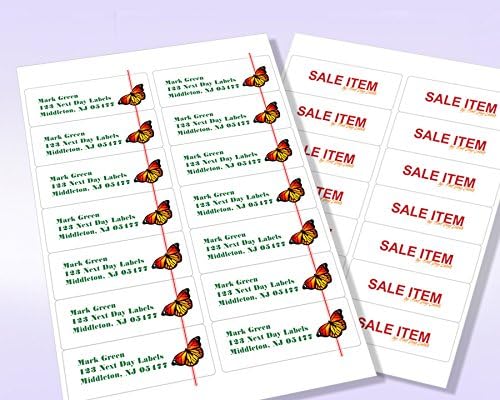 NextDayLabels – 4" x 1-1/3" Rectangular Sticker Labels for Printer - White Laser/Inkjet Printer Labels Return Address Labels Shipping Label Stickers (25 Sheets, 14 Per Sheet, 350 Labels)