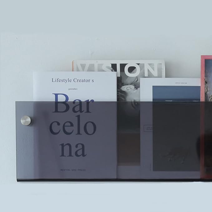 ROYALITA 2-Pack Acrylic Magazine Holder Brochure Holder, Gray 24 Inch | Record Magazine Rack, Fashion Floating Bookshelf, Literature Storage Rack for Waiting Room, Living Room, Office