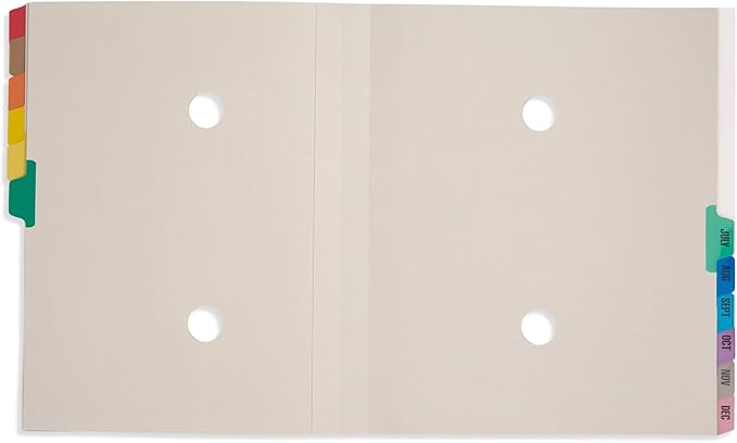 Blue Summit Expanding Monthly File Organizer, Letter Size 12 Month File Folder Organizer with Dividers, Paper Sorter for Desk and Documents (Pack of 2)