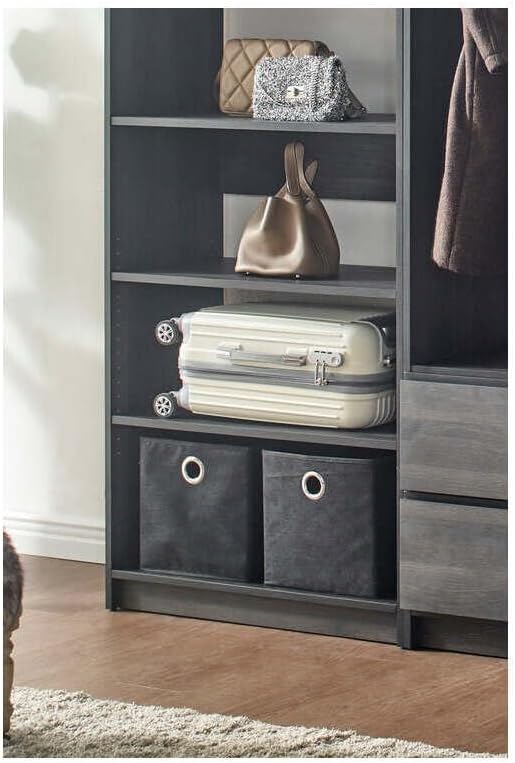 Maykoosh Closet System Organizer - Customizable Walk-in Wardrobe Storage Black/Model ECBA 4 Closet
