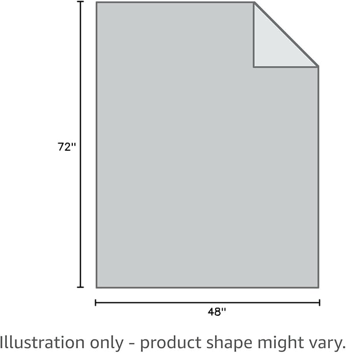 Bare Home Weighted Blanket Full or Queen Size 15lb (48"x72") for Adults - Minky Fleece - Premium Heavy Blanket Nontoxic Glass Beads (Light Grey, 48"x72")