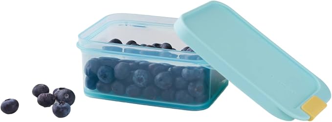 LocknLock Freezer Fit Plastic Freezer Containers | Airtight Stackable Food Storage for Meal Prep | Microwave & Dishwasher Safe | BPA Free Freezer Container with Lid, 450ml