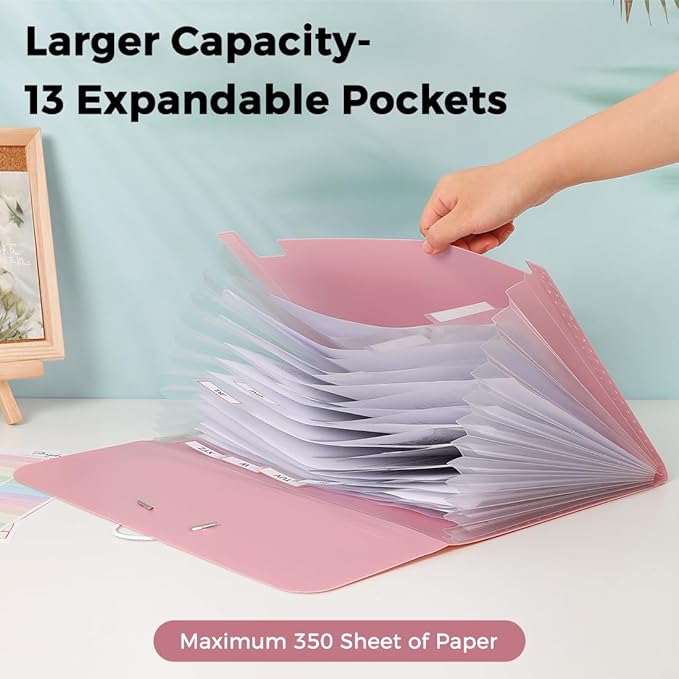 SKYDUE Expanding File Folder, Accordion File Organizer with 13 Pockets for A4/Letter Sized Paper, Accordion Folder with Labels - Document Receipt Organizer for Office, School, Home