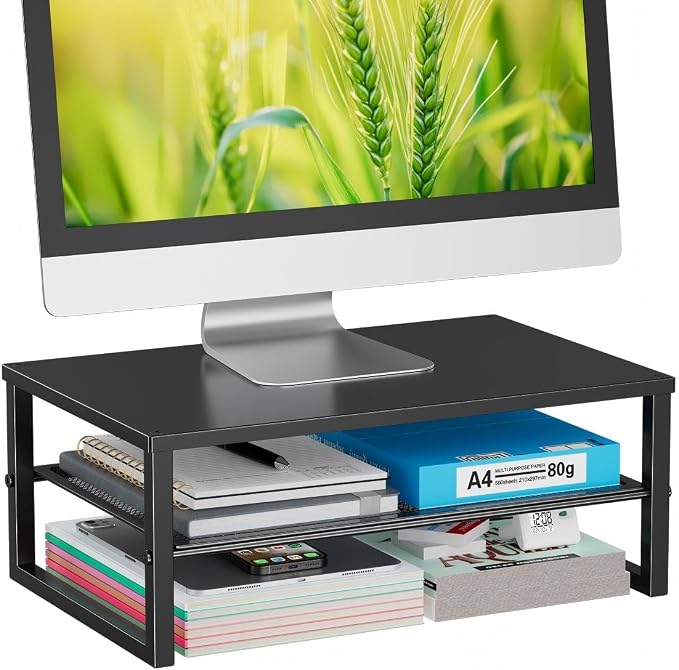 Ekisemio 2-Tier Computer Monitor Stand Riser, Desk Organizer for Monitor, Black