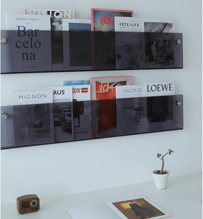 ROYALITA 2-Pack Acrylic Magazine Holder Brochure Holder, Gray 17 Inch | Record Magazine Rack, Fashion Floating Bookshelf, Literature Storage Rack for Waiting Room, Living Room, Office