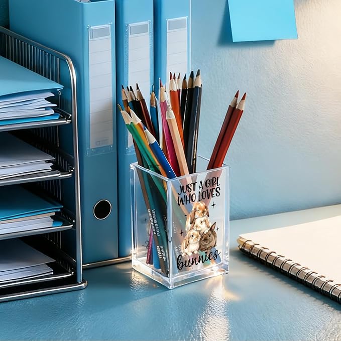 Just A Girl Who Loves Bunnies Acrylic Pencil Holder Cup, Inspirational Gifts for Friends Coworker, Funny Bunnies Pen Holder for Women Girls Bunny Lover, Pencil Cup for Desk, Makeup Organizer