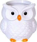 Ceramic Owl Shaped Pen Pencil Holder for Desk Decoration Accessories Owl Decor Makeup Brush Pen Cups Succulent Plant Pot Office School Ideal Gifts for Women, Mom or Birthdays