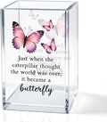 Just When The Caterpillar Thought The World Acrylic Pencil Holder Cup, Butterfly Pen Holder Gifts For Women Girls Sister, Inspirational Gifts for Daughter, Encouragement Gift for Teens Women