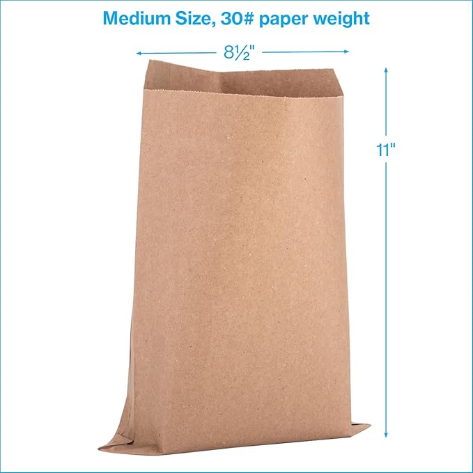 SSWBasics Medium Natural Kraft Paper Merchandise Bags - 8½ W x 11 H - Case of 1000 - Paper Bags for Small Business - Medium Kraft Paper Bag, 8 x 11 Flat Paper Sacks for Jewelry, Gifts, Cards,