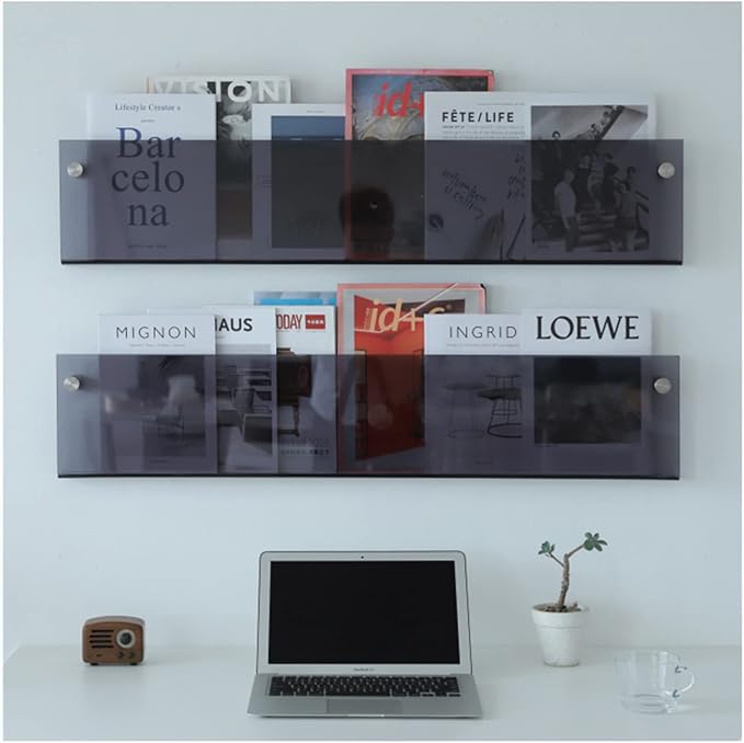 ROYALITA 2-Pack Acrylic Magazine Holder Brochure Holder, Gray 17 Inch | Record Magazine Rack, Fashion Floating Bookshelf, Literature Storage Rack for Waiting Room, Living Room, Office