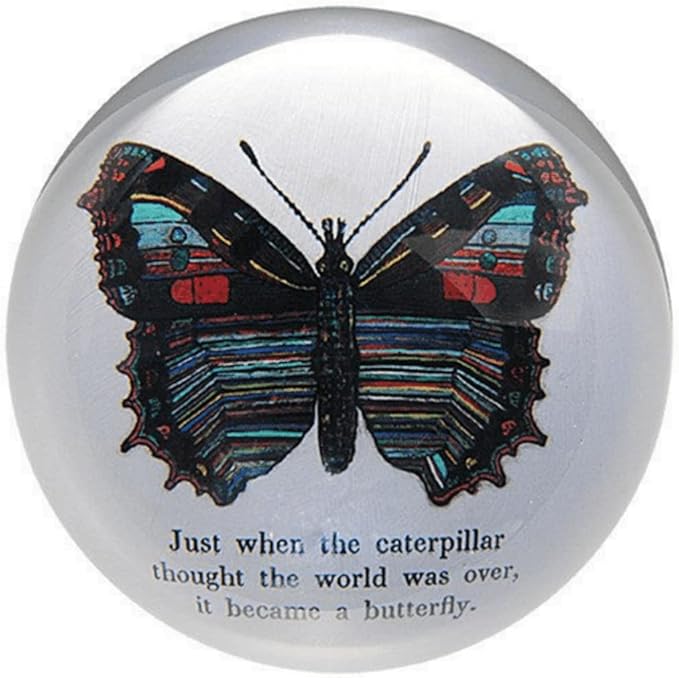 Sugarboo & Co. Butterfly Paperweight - 4"x4"