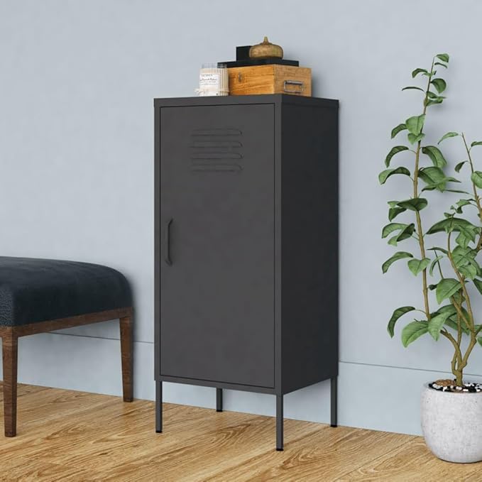 Modern Steel Storage Cabinet with Adjustable Shelves, Anthracite Matte Finish for Living Room and Office Organization, Durable Metal Construction