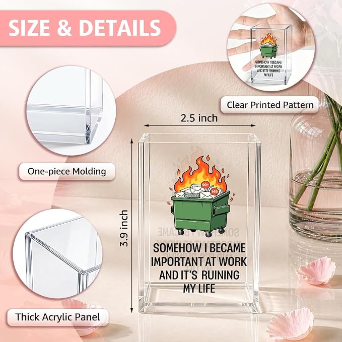 Somehow I Became Important At Work Funny Acrylic Pencil Holder Cup | And It's Ruining My Life, Sarcastic Dumpster Fire Gifts for Coworker Friend, Workplace Humor Decor Gifts, Desk Organizer