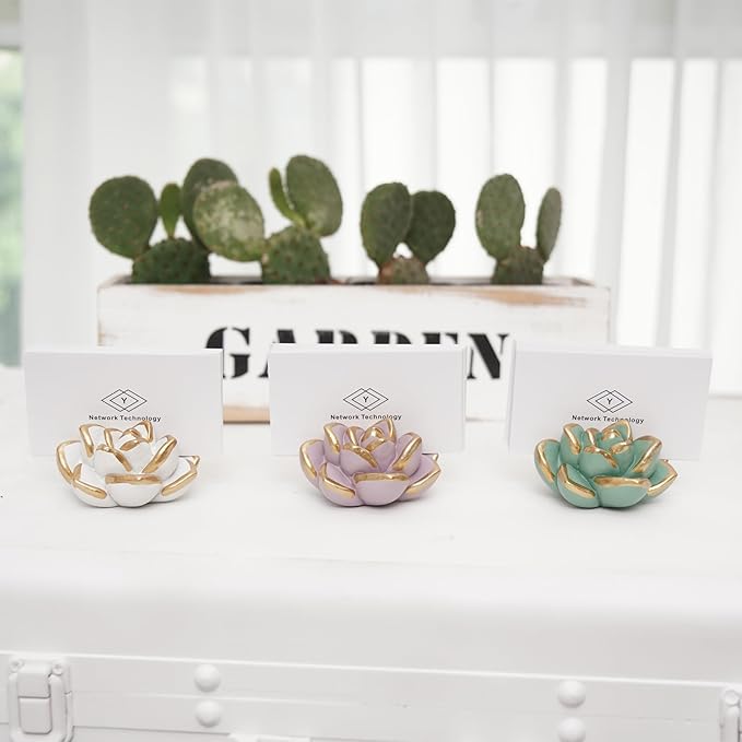 Resin Succulent Business Card Holder Set of 3 - White, Pink, Green - Modern Desk Organizer and Display Stand for Office, Store - Vertical Name Card Holders - Unique Gift and Decor