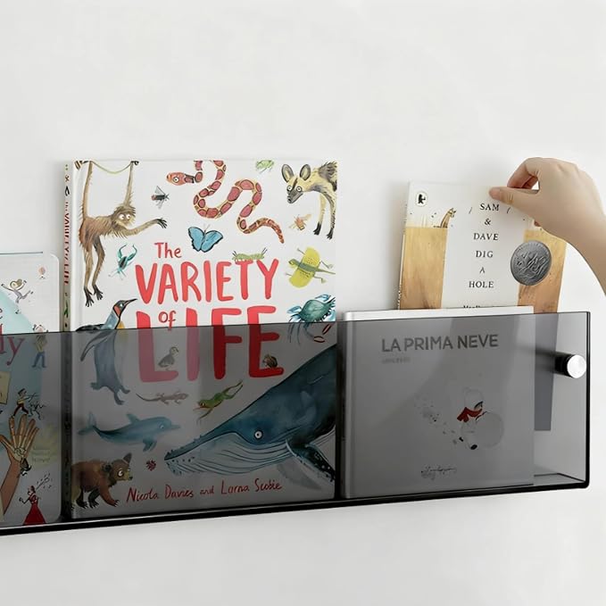 ROYALITA 2-Pack Acrylic Magazine Holder Brochure Holder, Gray 36 Inch | Record Magazine Rack, Fashion Floating Bookshelf, Literature Storage Rack for Waiting Room, Living Room, Office