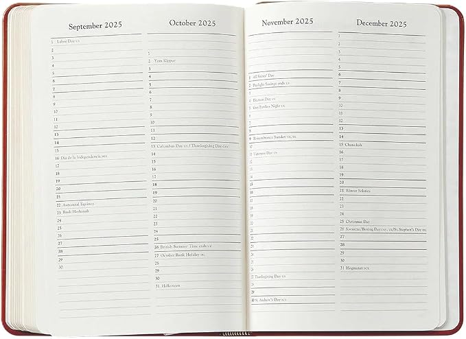 Graphic Image 2026 Daily Journal Goatskin Leather Planner (Rose Gold)