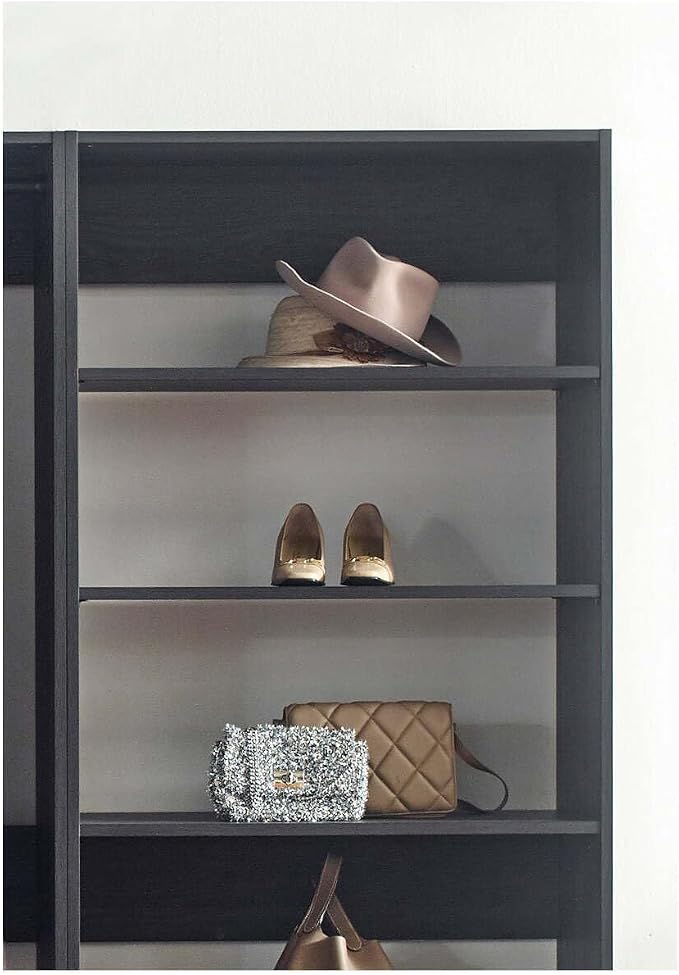 Maykoosh Closet System Organizer - Customizable Walk-in Wardrobe Storage Black/Model BCE 3 Closet