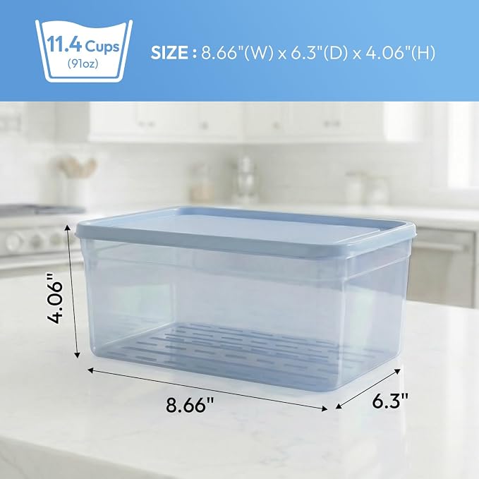 carrotez Flexible Freezer Storage Containers with lids, 2Pack 11.4cup Blue