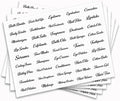 225 Pcs Bathroom Beauty Makeup Care Labels, 45 Designs Clear Home Organization Labels Household Container Storage Label for Bathroom Cosmetic Skincare Hair Care Organization Supplies