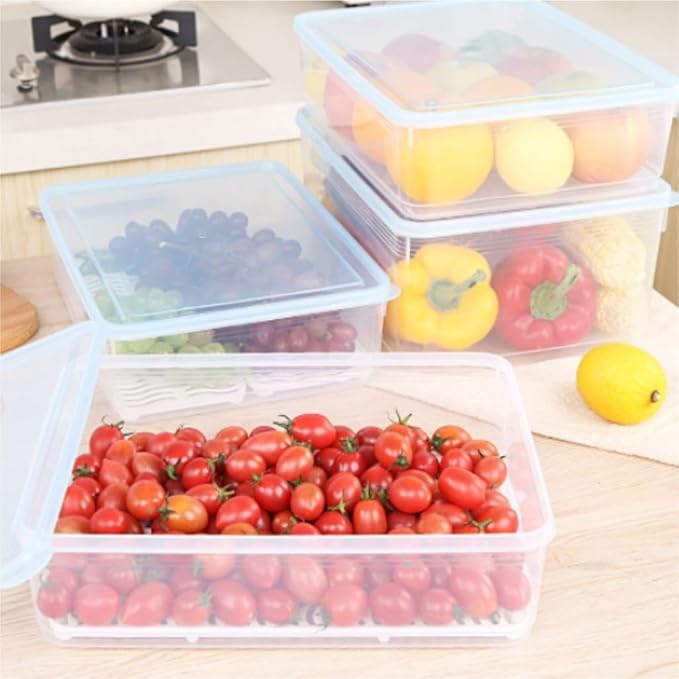 Food Storage Container Kitchen Transparent Food Preservation Box Can Be Heated And Frozen Sealed Box With Lid Refrigerator Storage Box Kitchen Refrigerator Food Organizer ( Color : Clear , Size : 5L )