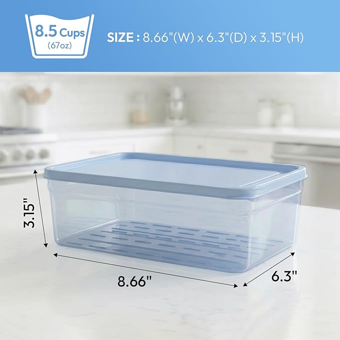 carrotez Flexible Freezer Storage Containers with lids, 2Pack 8.5cup Blue