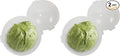 Trenton Gifts Lettuce And Vegatable Storage Keeper. Set of 2. 7" X 8".