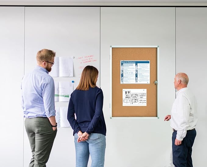 Lockable Bulletin Board Display Case 24x36, Enclosed Cork Board with Acrylic Door & Aluminum Frame, Wall Mounted Notice Board with 2 Keys for Office, School, Hallway, Posters & Flyers