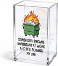 Somehow I Became Important At Work Funny Acrylic Pencil Holder Cup | And It's Ruining My Life, Sarcastic Dumpster Fire Gifts for Coworker Friend, Workplace Humor Decor Gifts, Desk Organizer