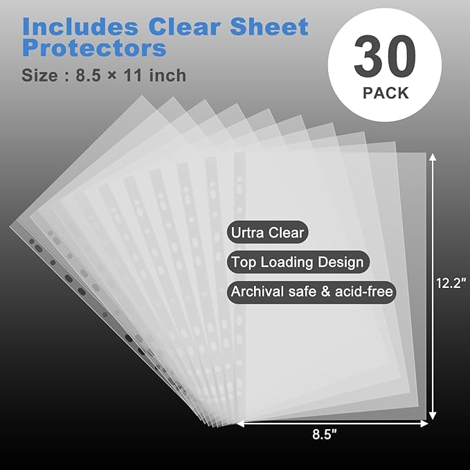 DocSafe File Organizer Zipper Binder with 30 Sheet Protector,Fireproof Accordion 12-Tab Expanding File Folder with Multiple Pockets,Home School Office Safe Storage for Documents,1.5-Inch O-Ring,Black