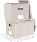 Oterri 2 Pack File Storage Organizer, Document Organizer, Portable File Box with Lid, Fit for Letter/Legal File Folder Storage,Beige-Box only