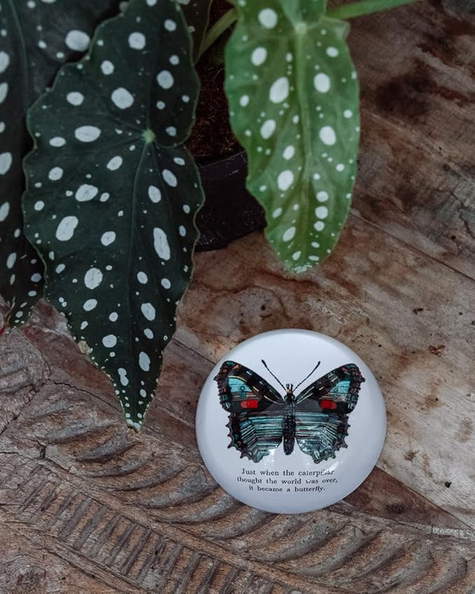 Sugarboo & Co. Butterfly Paperweight - 4"x4"