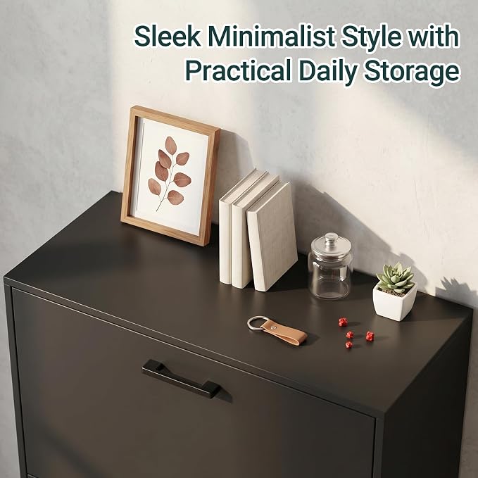 Shoe Cabinet with 2 Flip Drawers, Narrow Freestanding Shoe Organizer for Entryway, Hallway, Living Room, Black