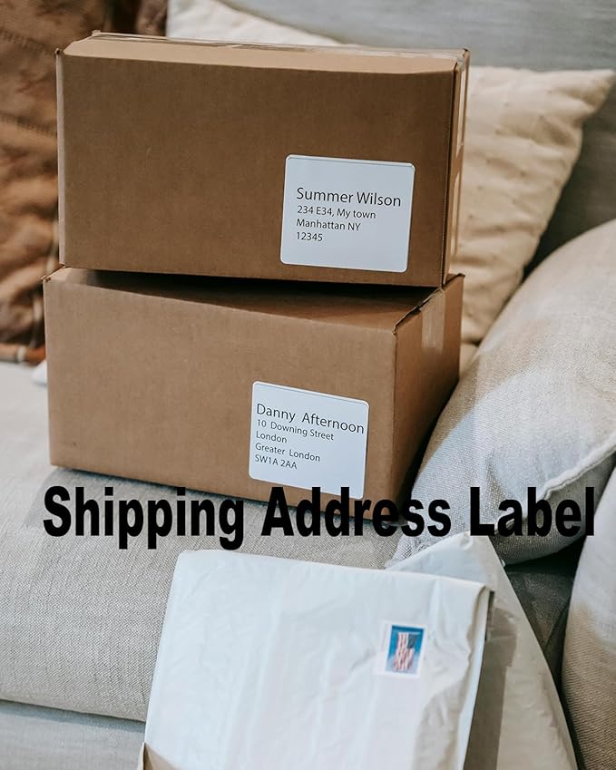 2" x 4" Shipping Address Labels for Laser Inkjet Printer, Mailing Label White for Package or Envelope, Printable Label Sheet 5163 8163 (100 Sheets 1000 Labels)
