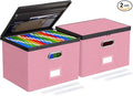 Oterri 2 Pack Large File Organizer Boxes with Lids, File Box with Mesh Pockets, Document Organizer Box for Legal/Letter Size Folders, Zippers Important Document Organizer (Pink, Without Folders)