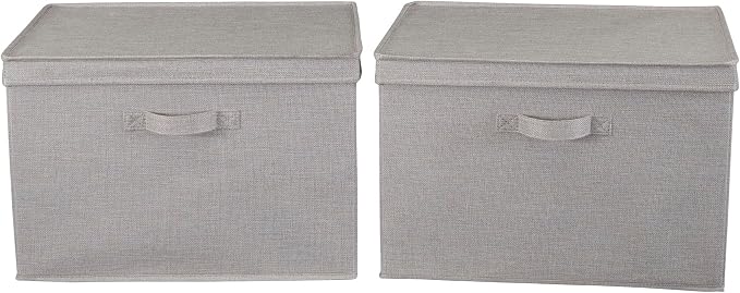Household Essentials Large Storage Bin with Lid, Sturdy Sides and Base with Front Handle, Silver