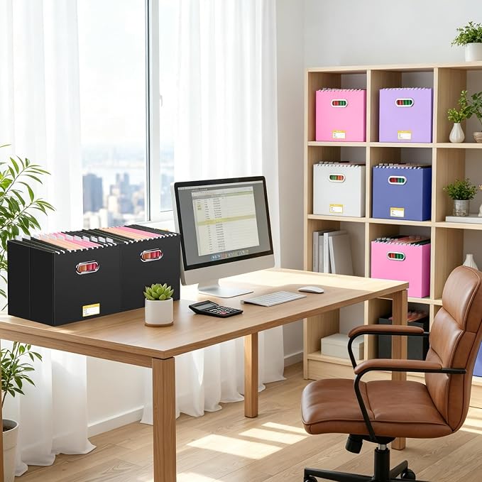 BALEINE File Organizer Box, Cardboard File Folder Organizer with Handle for Letter Size, Portable Collapsible Hanging Filing Box for Home Office Document Storage (1 Pack, Large Black)